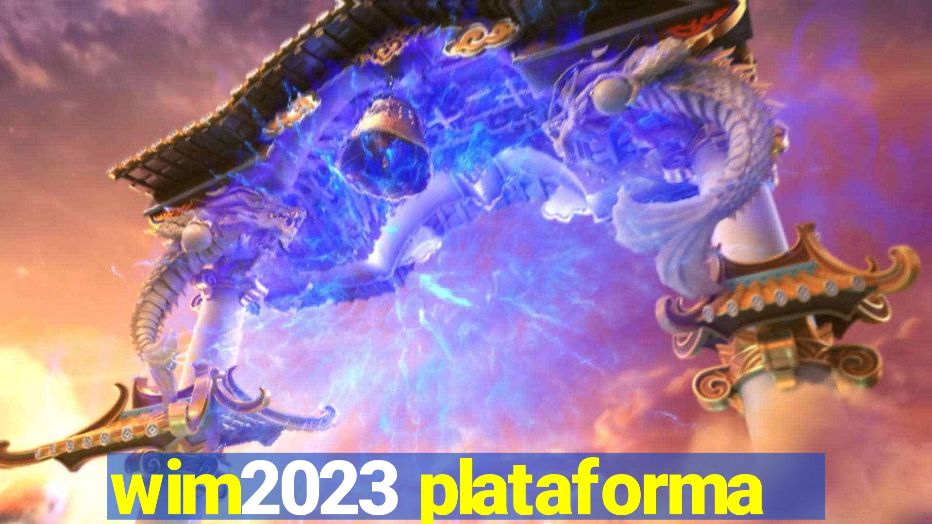 wim2023 plataforma